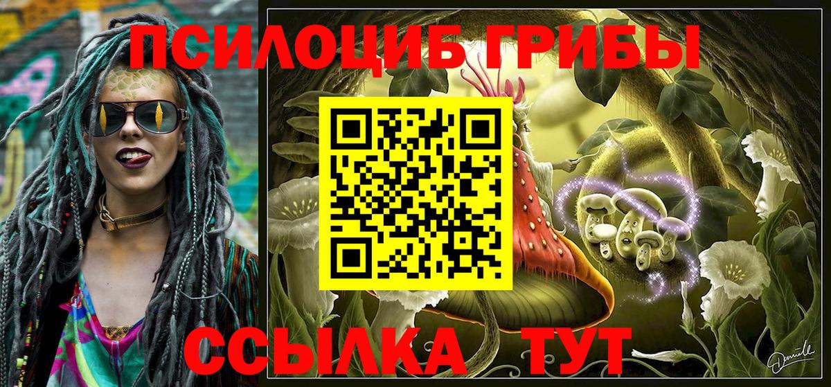 Галлюциногенные грибы Psilocybe Павлово