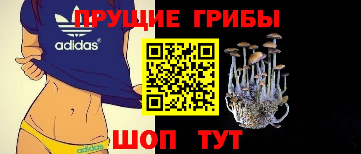 Псилоцибиновые грибы мицелий  Вход с VPN  Павлово 